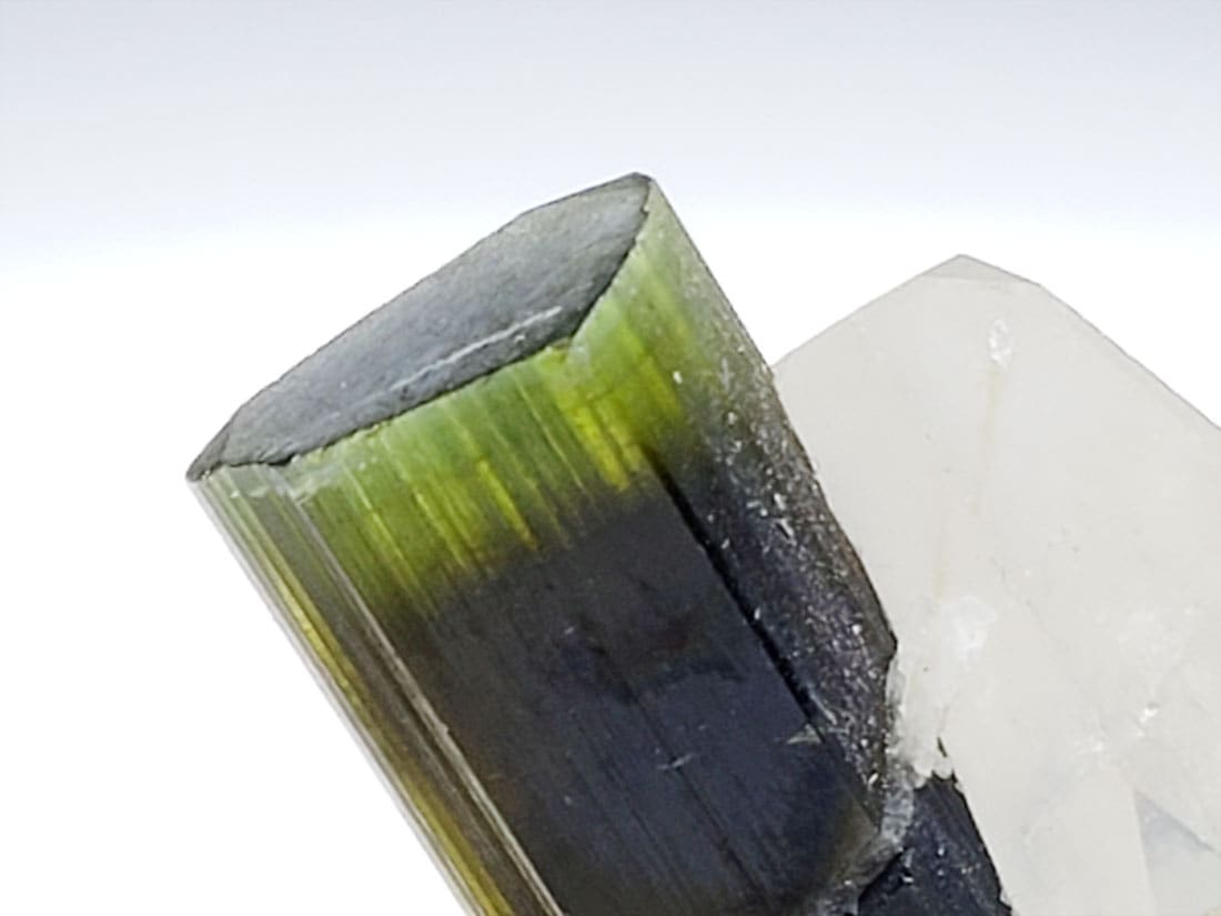 バイカラートルマリン/Bicolor Tourmaline (リチア電気石)