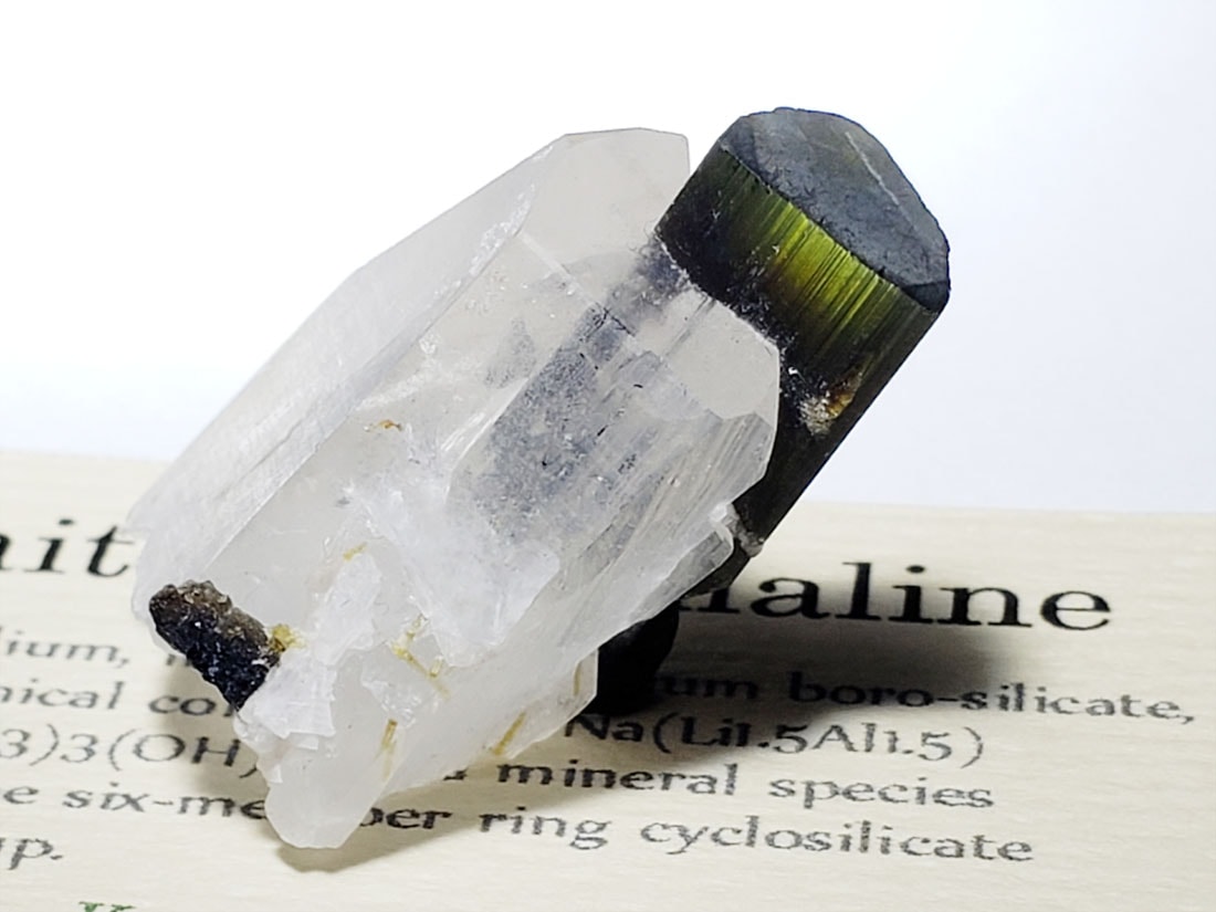 バイカラートルマリン/Bicolor Tourmaline (リチア電気石)