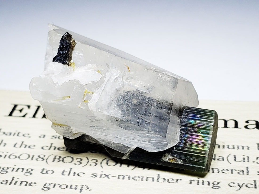 バイカラートルマリン/Bicolor Tourmaline (リチア電気石)