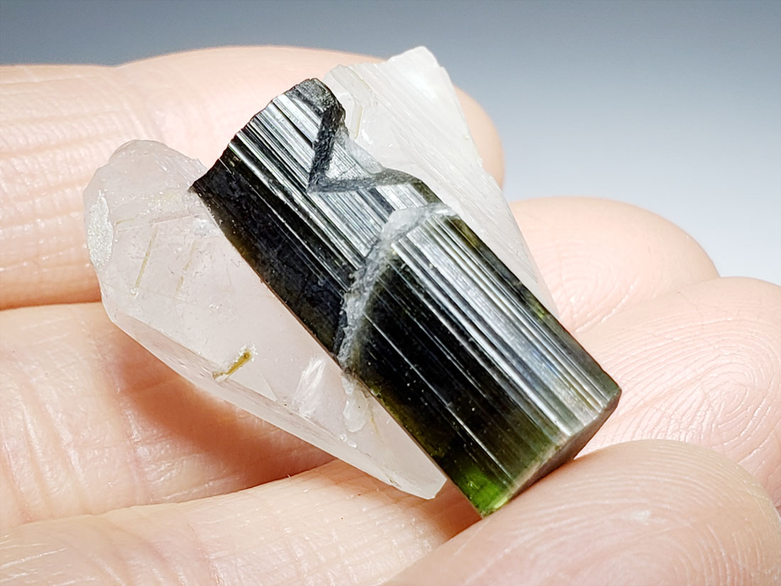 アフガニスタン産　リチア電気石　バイカラートルマリン アフガニスタン産バイカラートルマリン/Bicolor Tourmaline