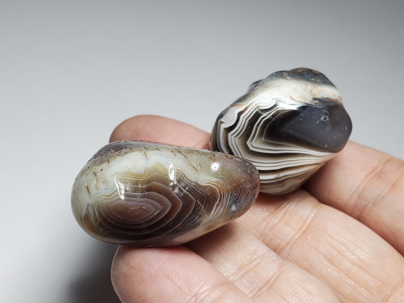 ボツワナアゲート タンブル2個セット | アゲート タンブル | 天然石  