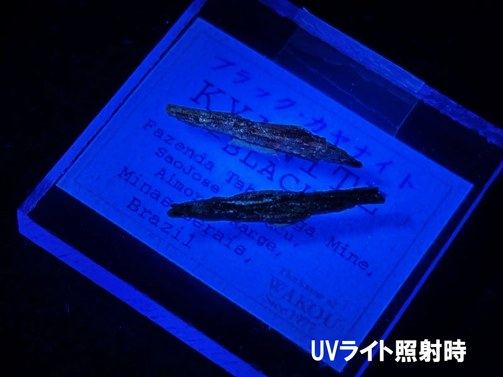 97. 九州産】水晶・ウラン蛍光・青色蛍光付き 珪化木 1437g ミニチュア鉱物標本 9点セット【蛍光鉱物】