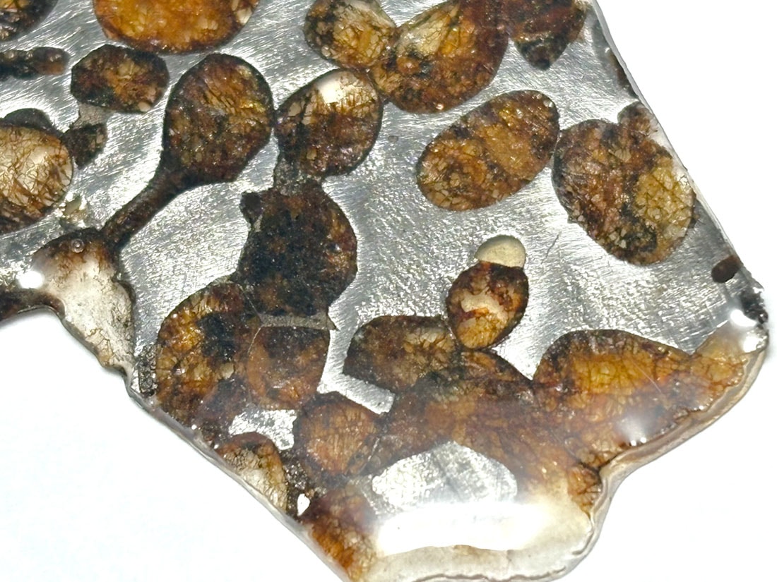ケニア産 セリコパラサイト隕石 / Sericho Pallasite Meteorite