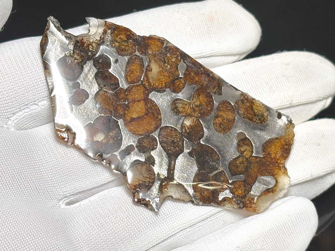 ケニア産 セリコパラサイト隕石 / Sericho Pallasite Meteorite