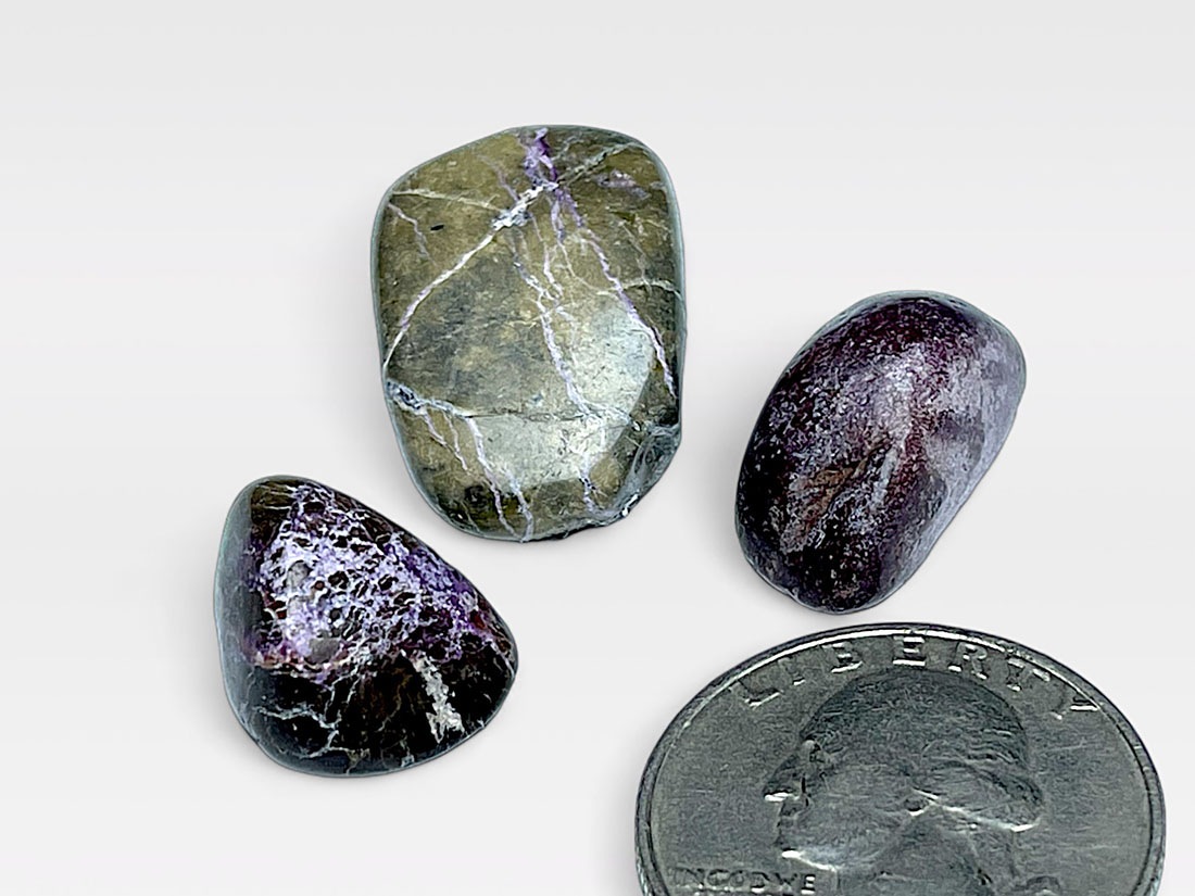 オーストラリア産 スティッチタイト タンブル 3個セット