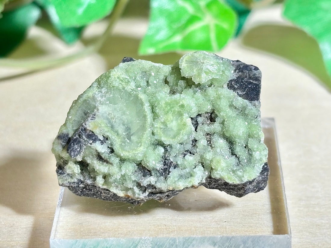 アーカンソー州産 ワーベライト / wavellite ( 銀星石 )【ミニチュア鉱物】