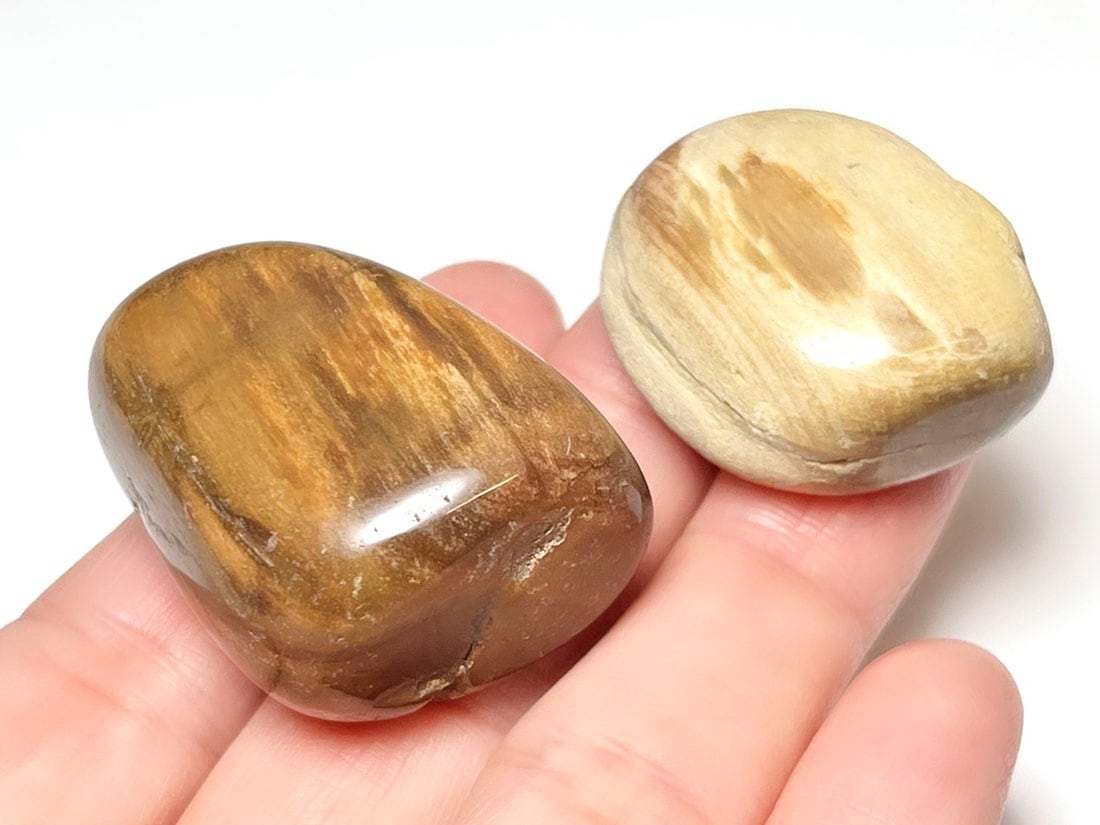 マダガスカル産 ペトリファイドウッド タンブル 5個セット ( 珪化木