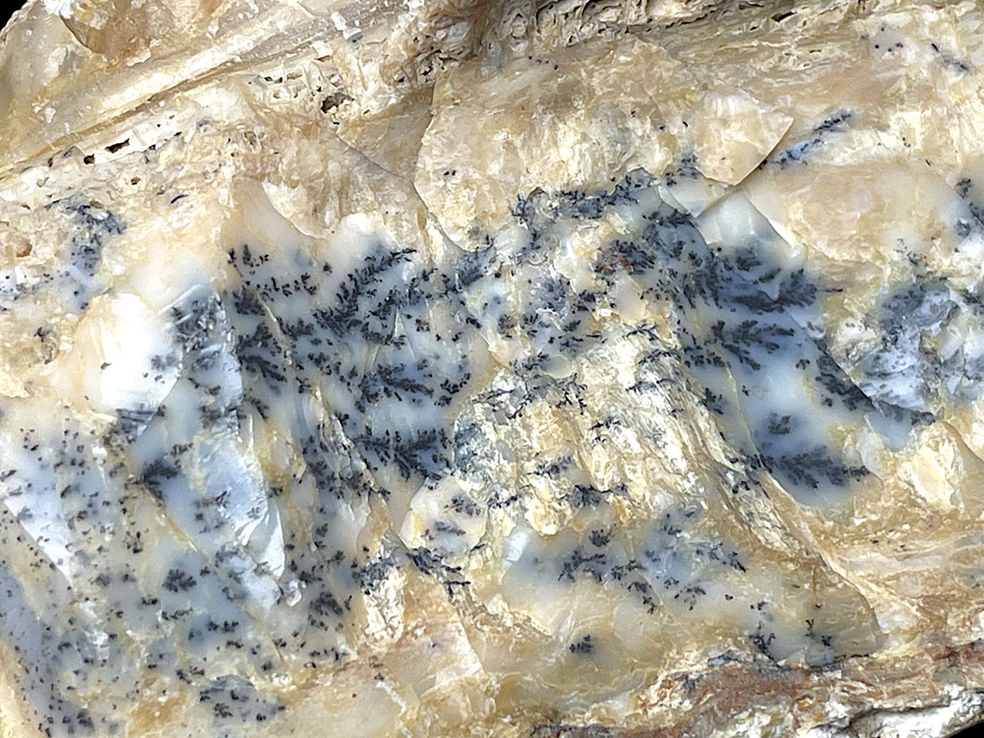 デンドリティックオパール　鑑賞石　石　置物　オブジェ　インテリア デンドリティック・オパール - トイロ石