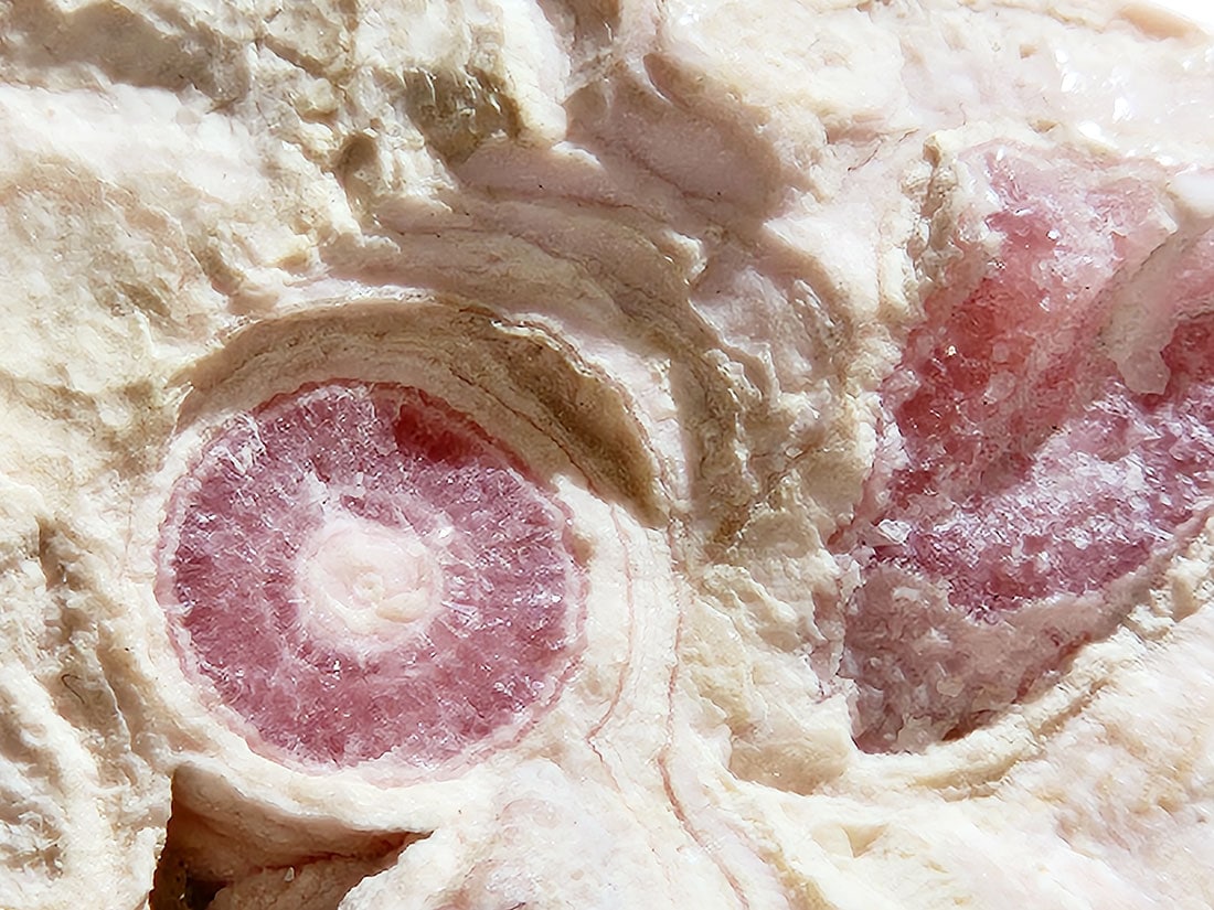 【アルゼンチン/カタマルカ産】ロードクロサイト アルゼンチン産ロードクロサイト/Rhodochrosite