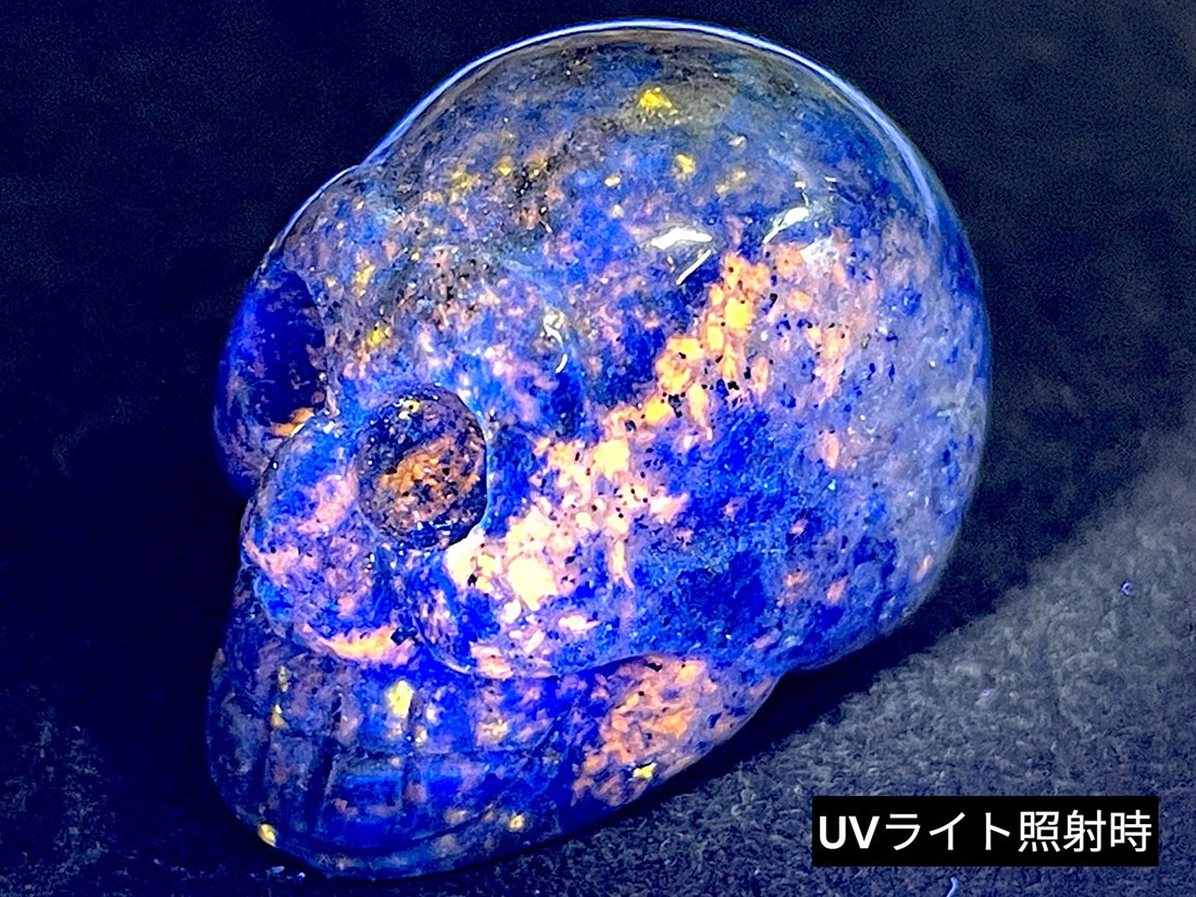 アフガニスタン産 ラピスラズリ スカル 彫刻/ Lapis Lazuli