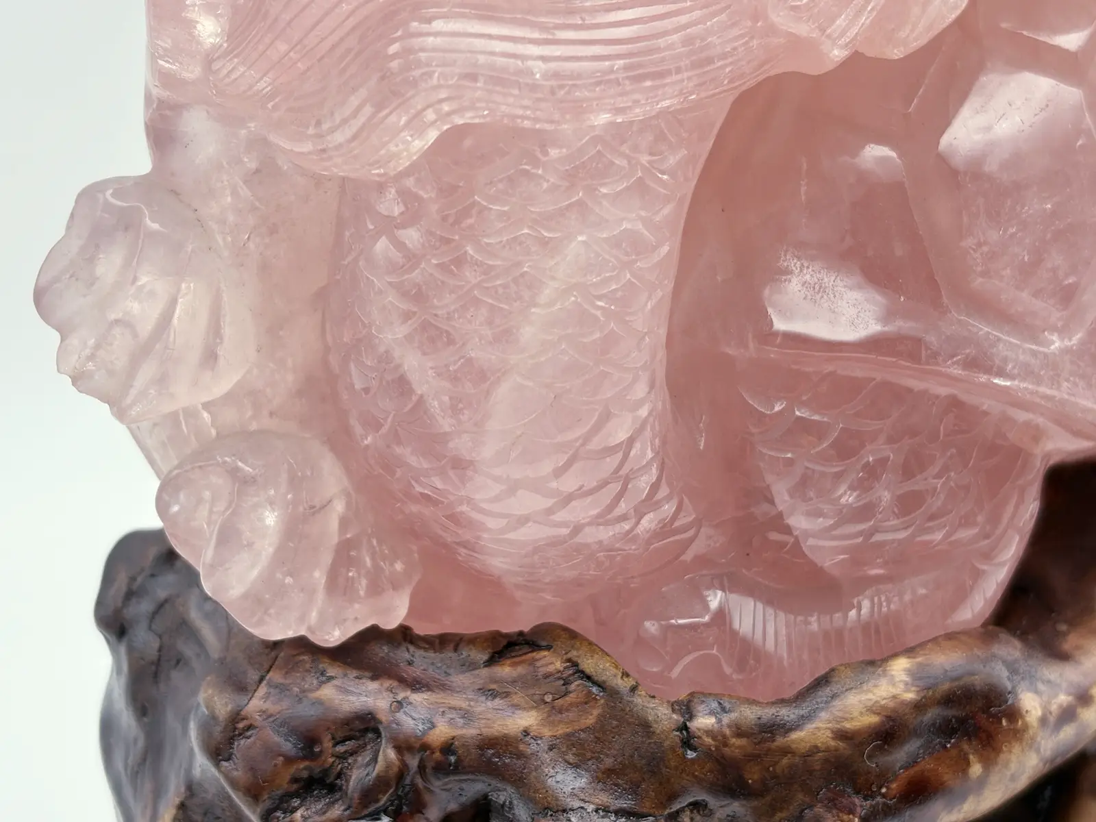 ローズクォーツ 鶴と龍亀（ロングイ）彫刻 (木製台座付き)/ Rose Quartz