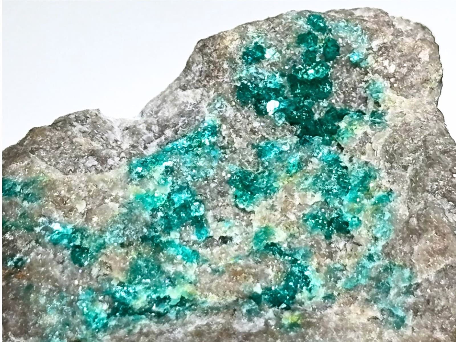 カザフスタン産 ダイオプテーズ ( 翠銅鉱 ) /Dioptase