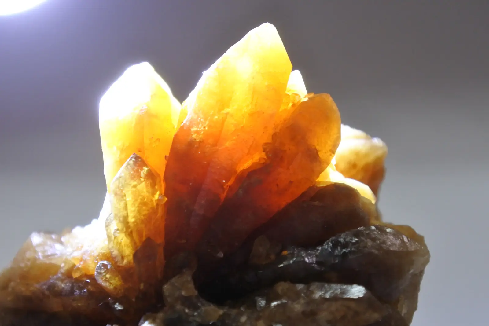 モロッコ産ナチュラルシトリン (黄水晶)/ NaturalCtrine