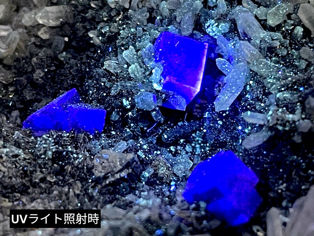 内モンゴル産ビスマシナイト(フローライト&水晶)共生/Bisumathinite