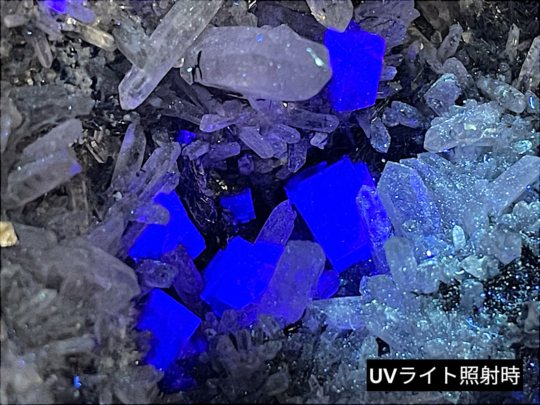 内モンゴル産ビスマシナイト(フローライト&水晶)共生/Bisumathinite