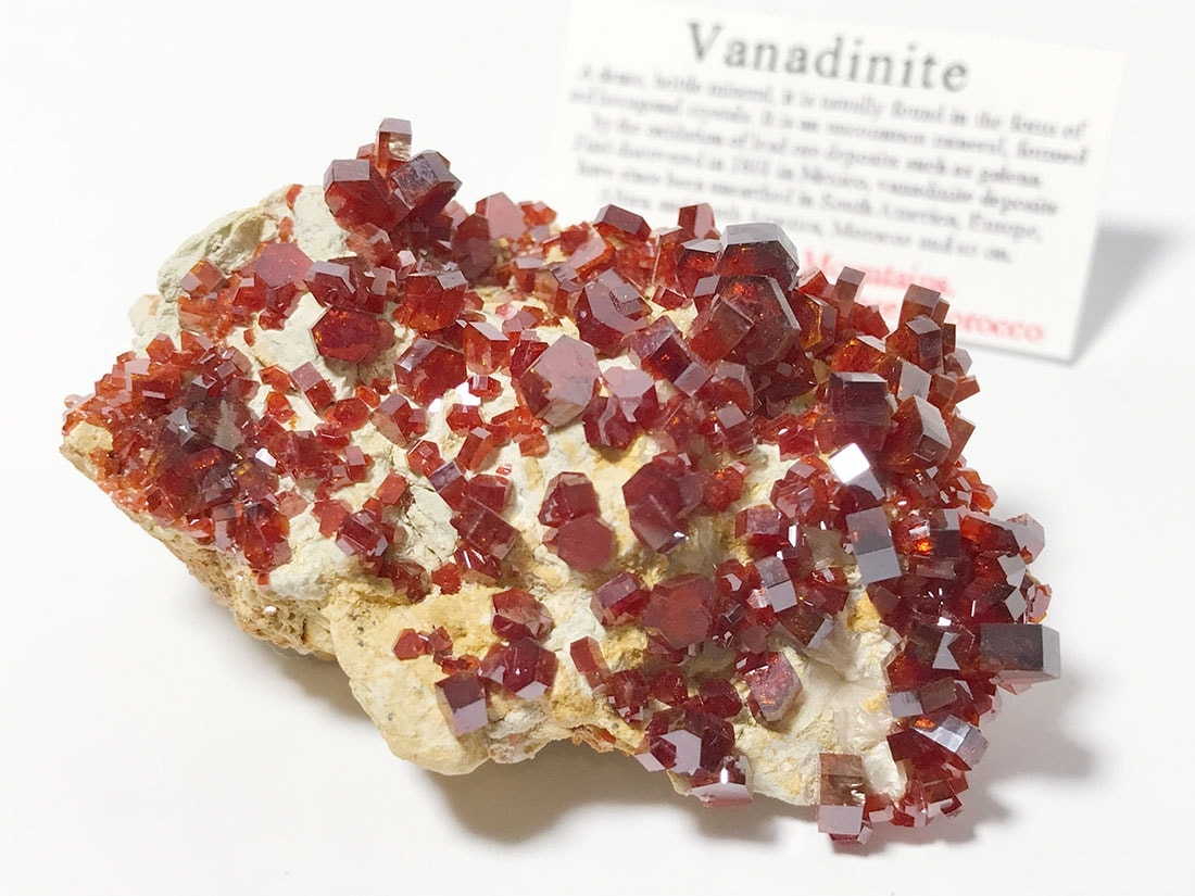Vanadinit バナジン鉱石 モロッコ産 NewFound》モロッコ産 VANADINITE var. ENDLICHITE バナジン鉛鉱