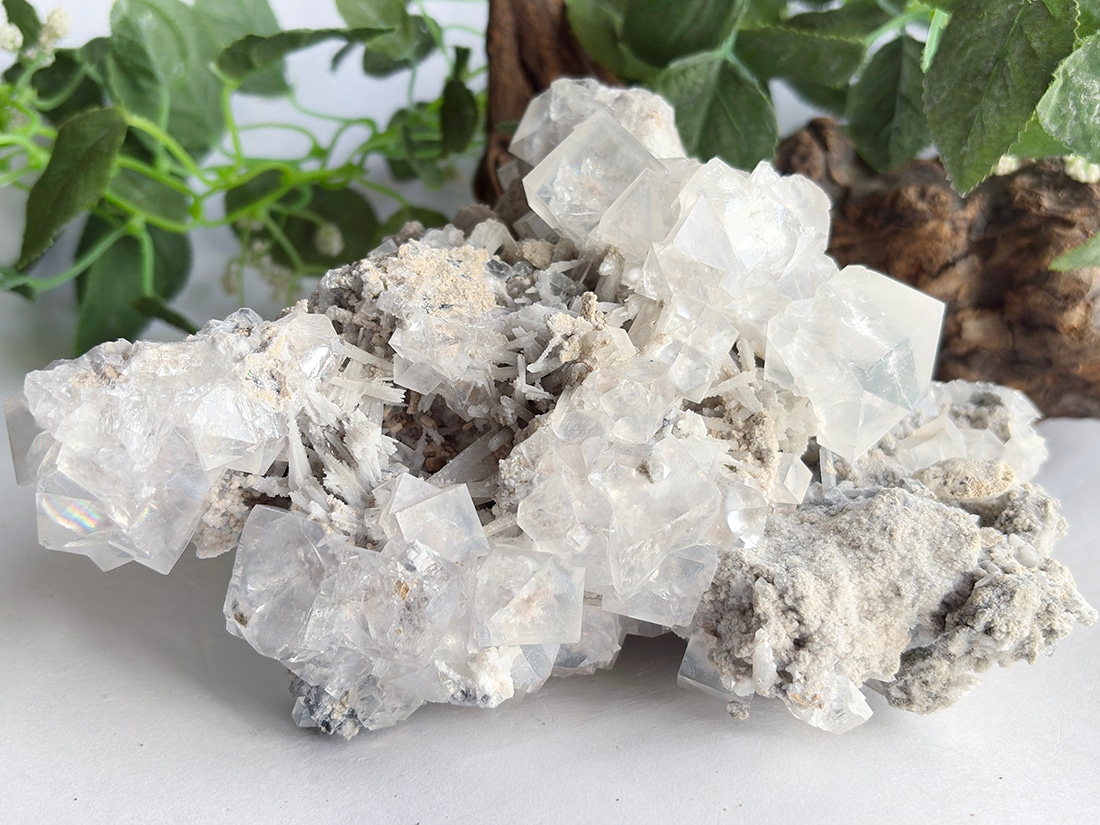 天然石・水晶・鉱物原石専門店 【The Stone of WAKOU】 |