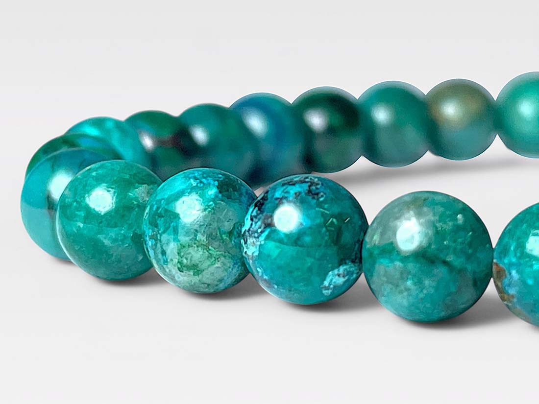 はくとん( 'ω')ŧ‹