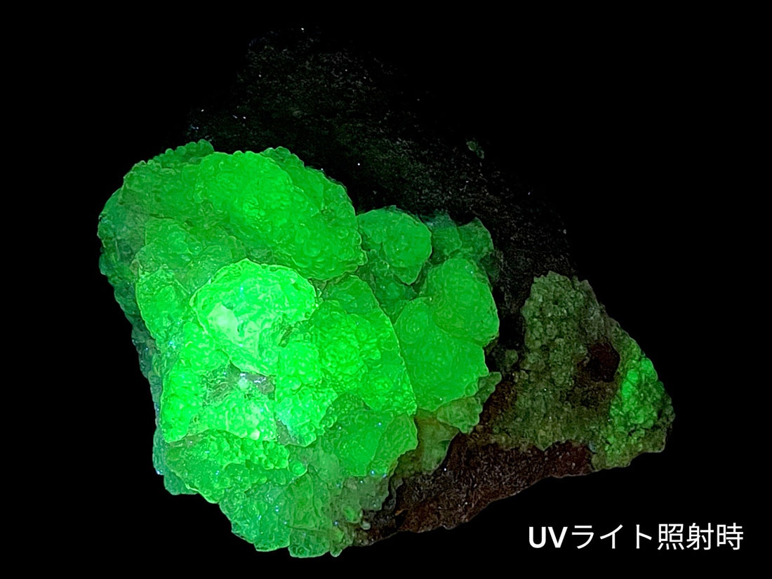 メキシコ産ハイアライト(玉滴石)/Hyalite