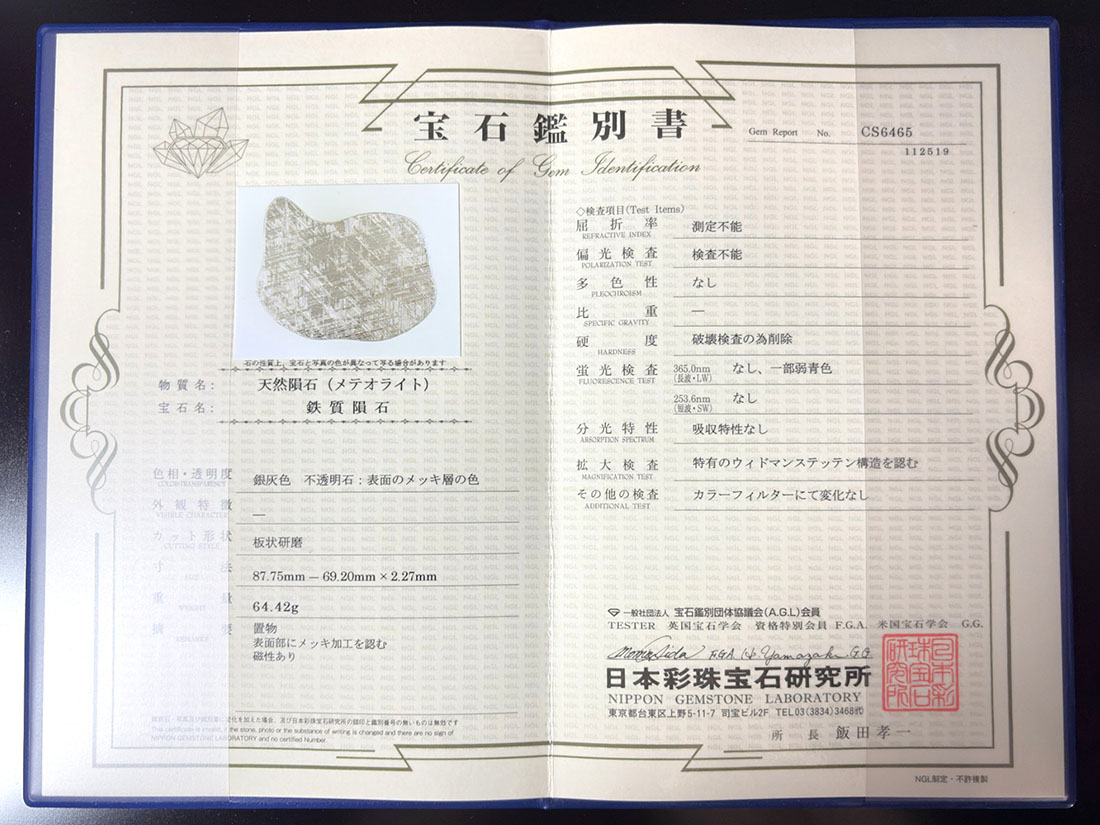 鑑別書付き】ナミビア産 ギベオン隕石 ペンダントトップ / Gibeon