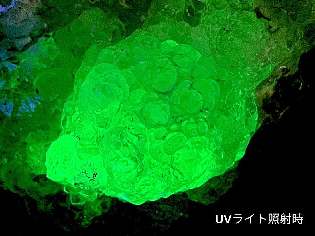 メキシコ産ハイアライト(玉滴石)/Hyalite