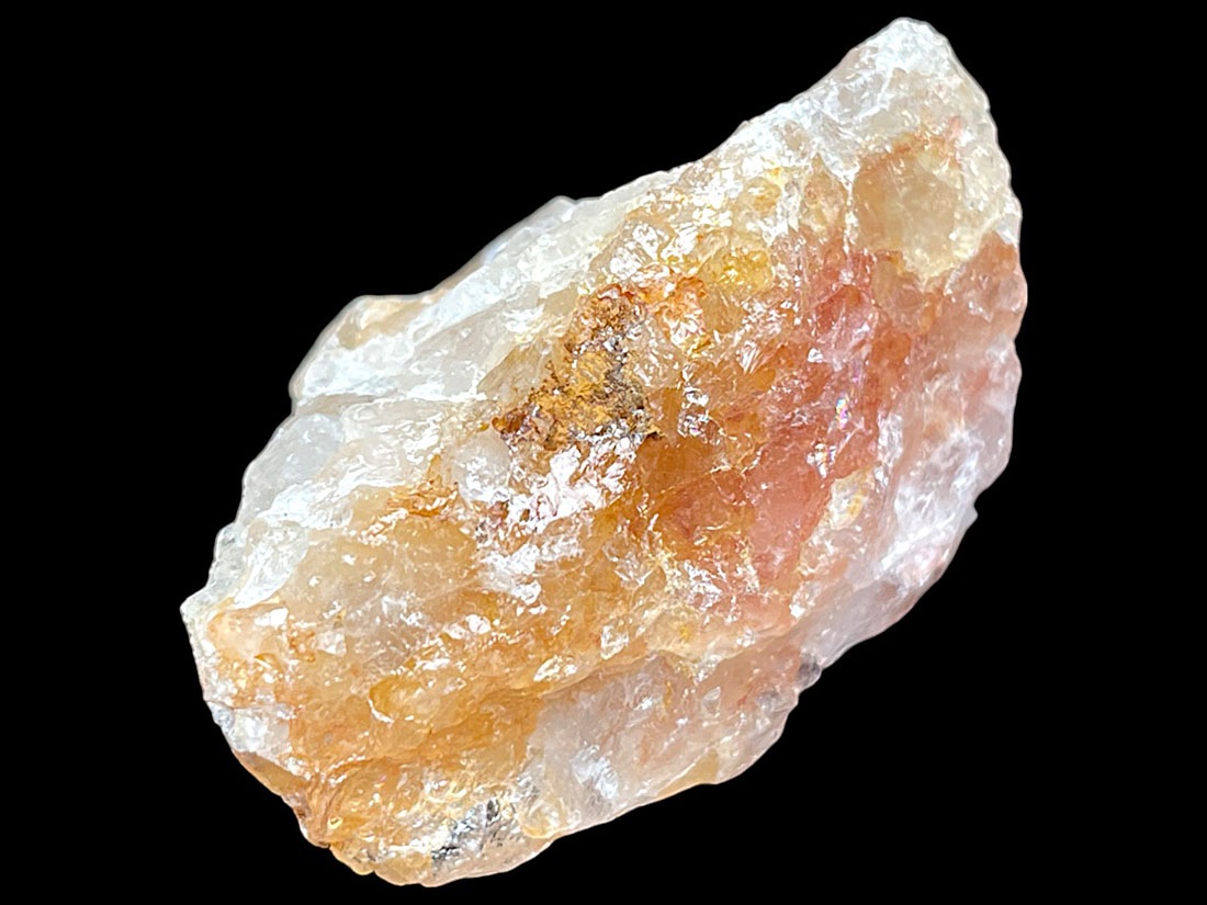 ブラジル産 ゴールデンヒーラー 2個セット