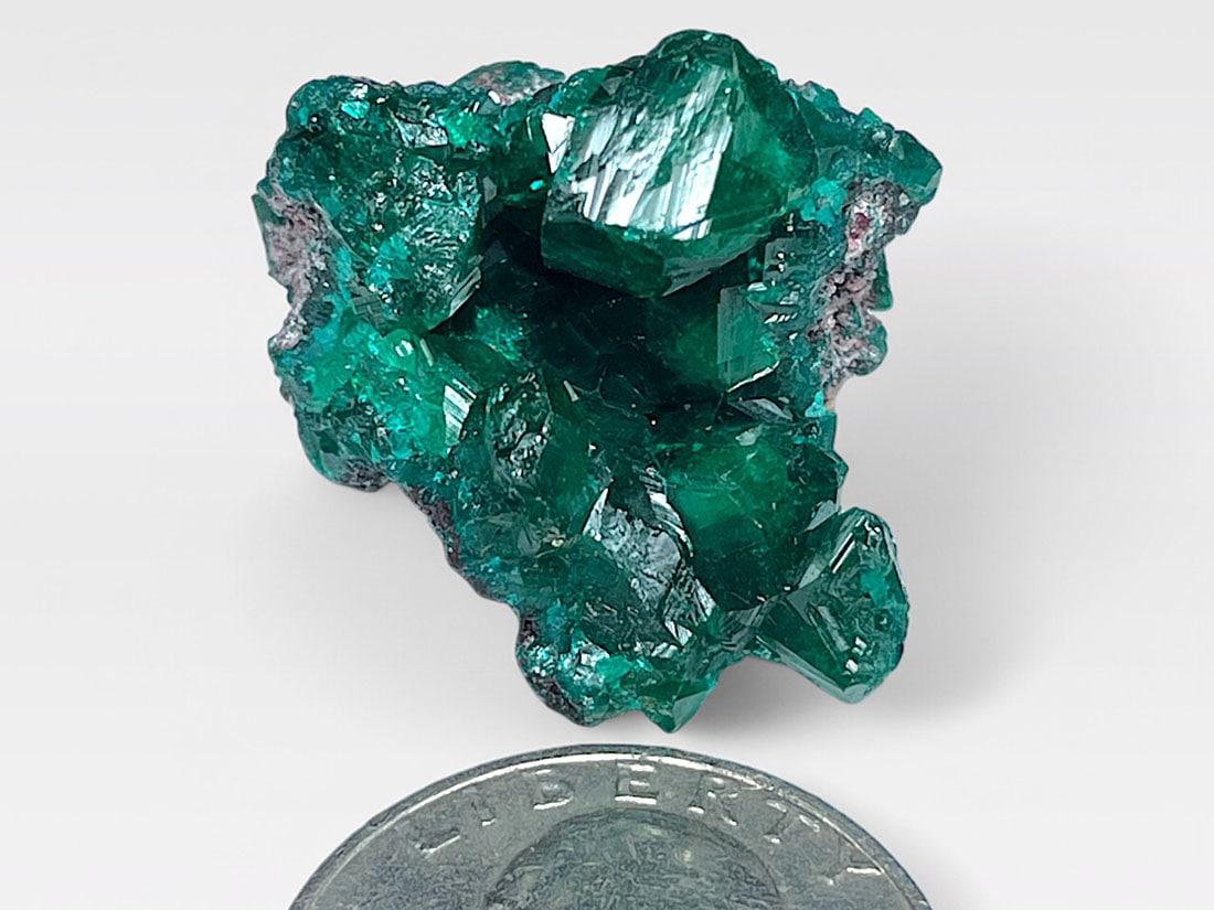 コンゴ産 ダイオプテーズ 母岩付き