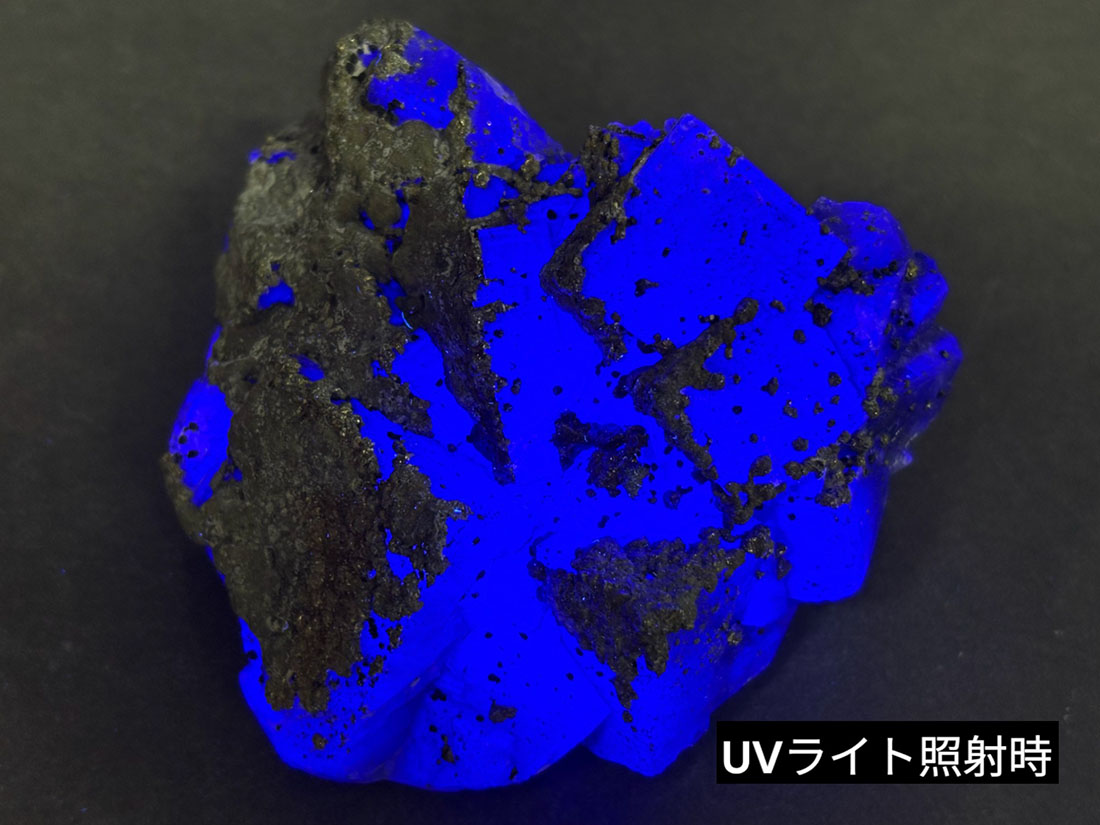 福建省産 フローライト (パイライト/マーカサイト共生) / Fluorite