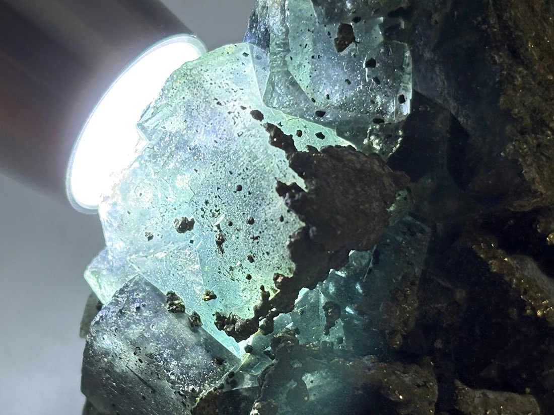 福建省産 フローライト (パイライト/マーカサイト共生) / Fluorite