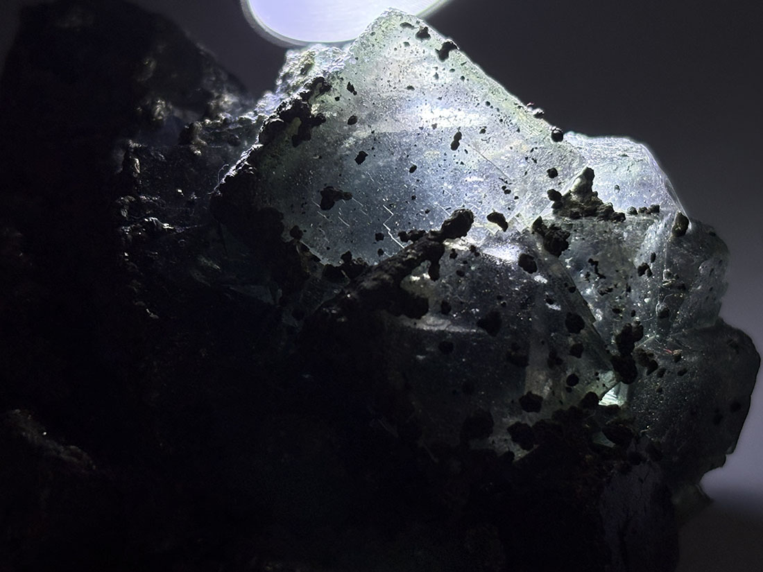 福建省産 フローライト (パイライト/マーカサイト共生) / Fluorite