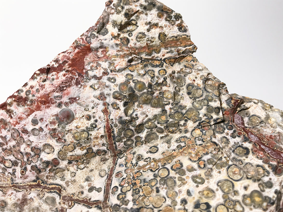 メキシコ産 レオパードスキンジャスパー