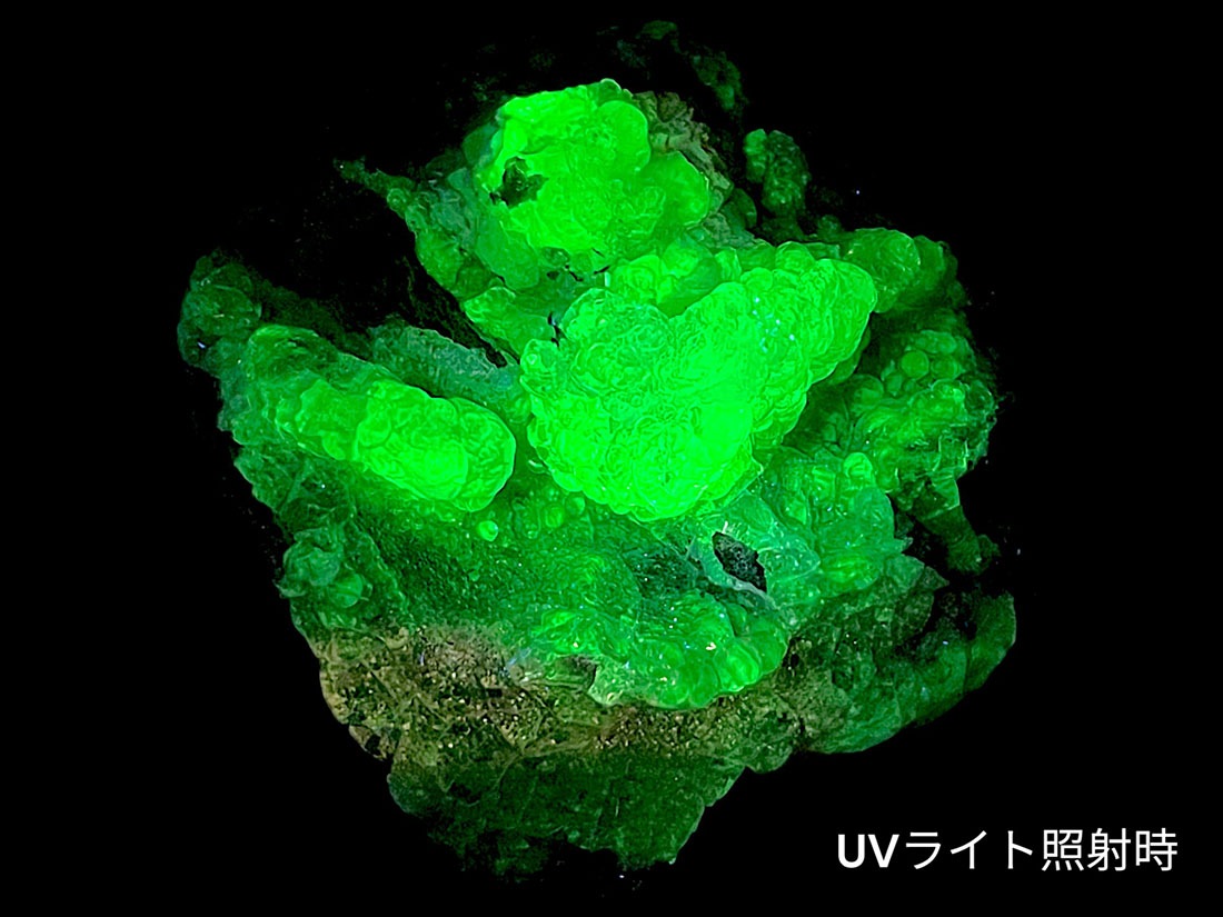 玉滴石 ハイアライト 鉱石 鉱物 ミネラル 原石 標本 母岩付き ハイアライト（玉滴石）強い蛍光を示す鉱物 | クリスタル