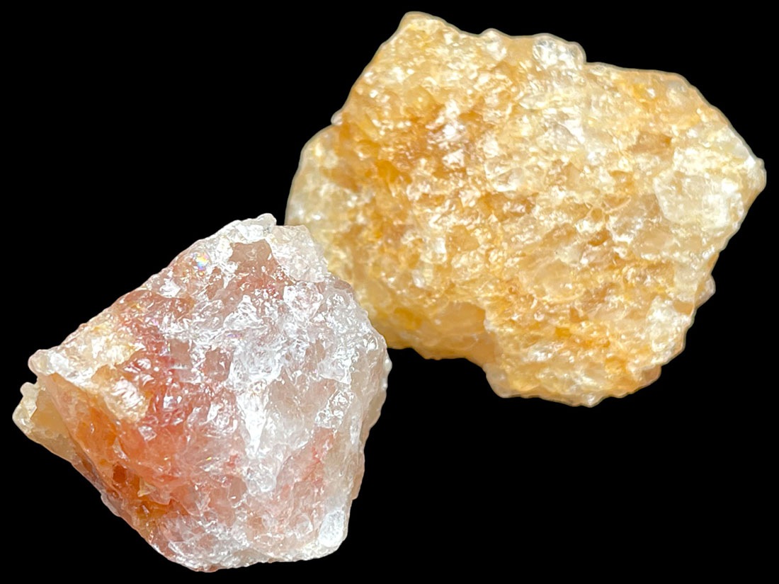 ブラジル産 ゴールデンヒーラー ２個セット