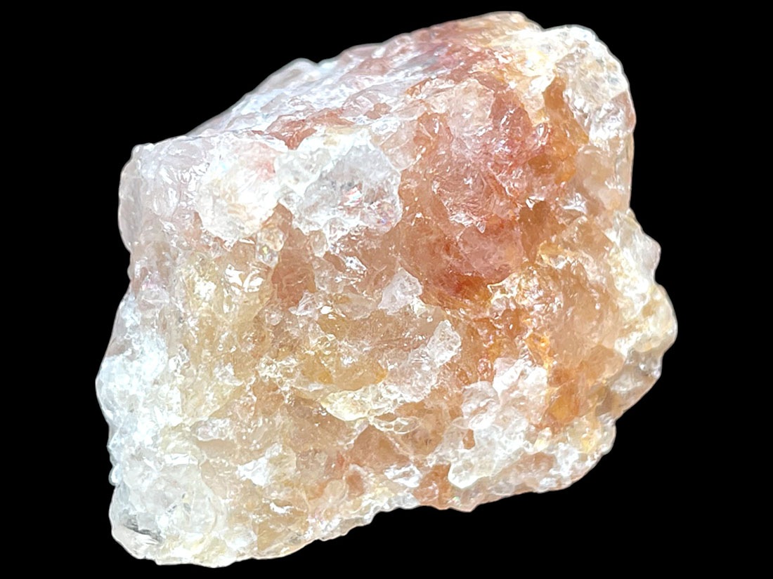 ブラジル産 ゴールデンヒーラー ２個セット