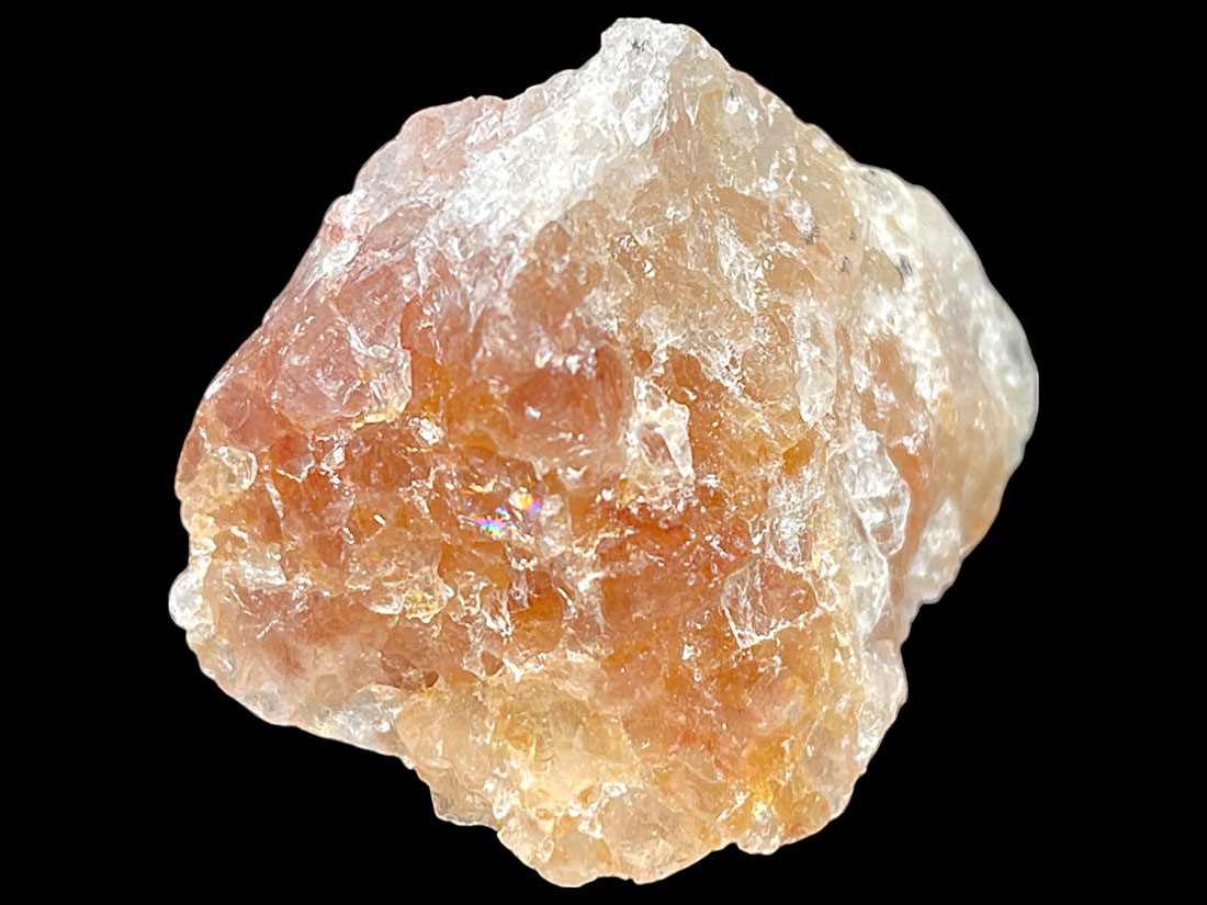 ブラジル産 ゴールデンヒーラー ２個セット