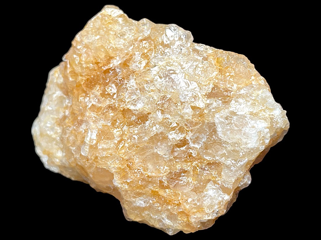 ブラジル産 ゴールデンヒーラー ２個セット