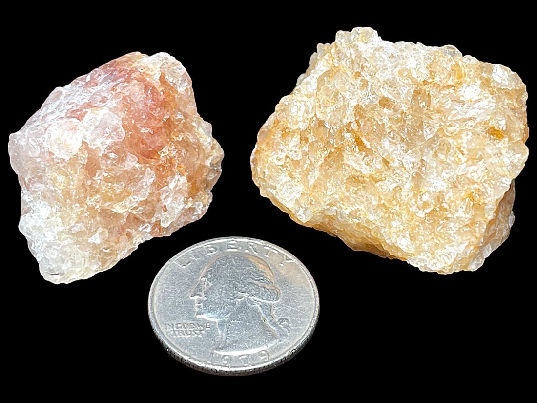 ブラジル産 ゴールデンヒーラー ２個セット