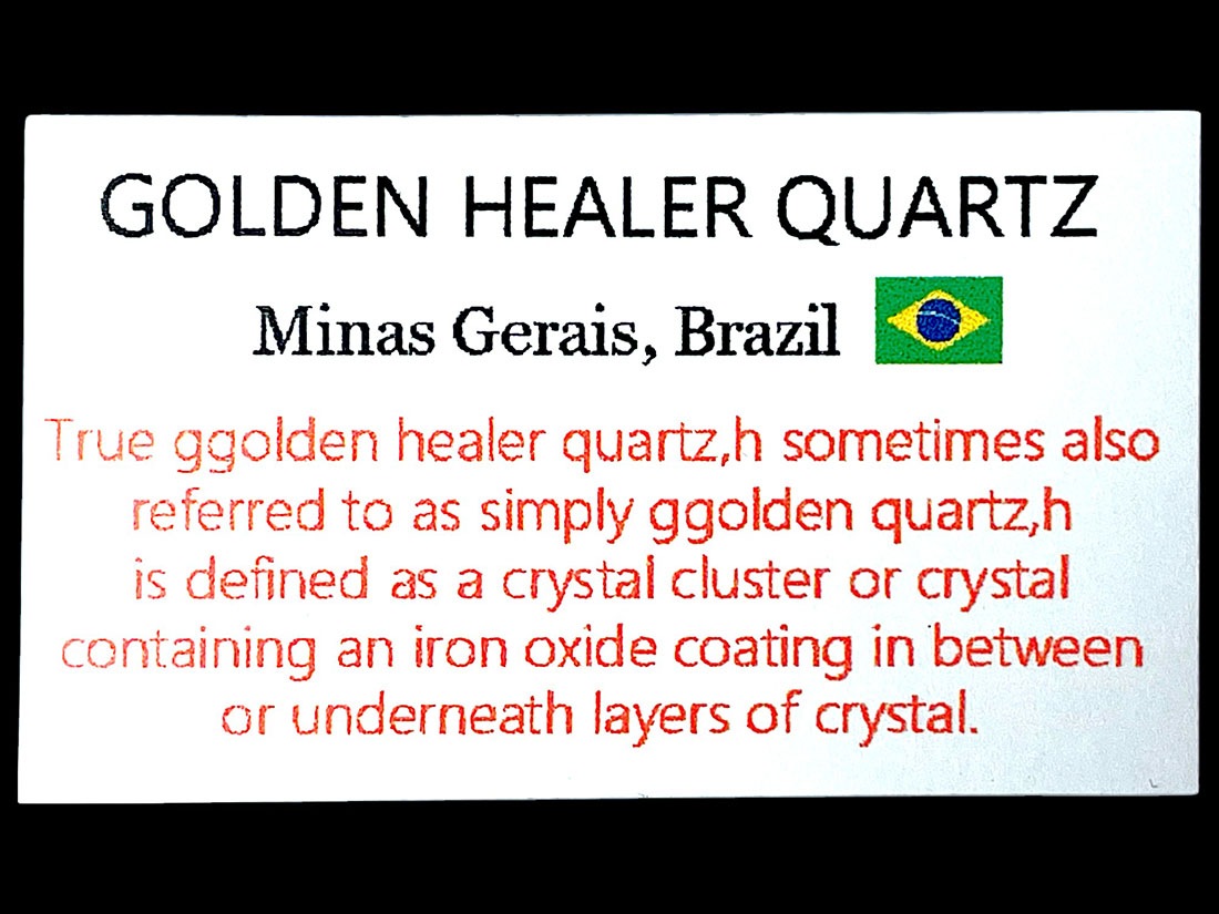 ブラジル産 ゴールデンヒーラー ２個セット