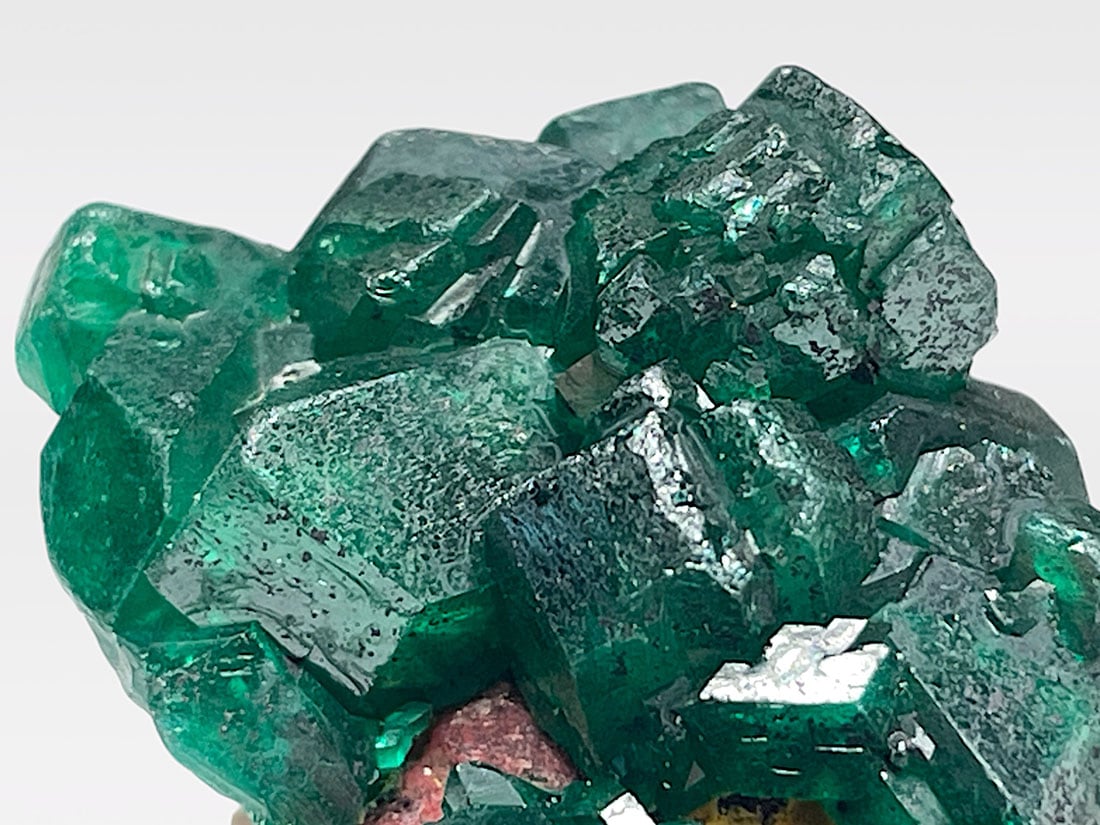 コンゴ産 ダイオプテーズ 母岩付き