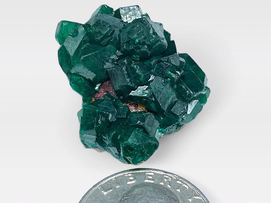 コンゴ産 ダイオプテーズ 母岩付き