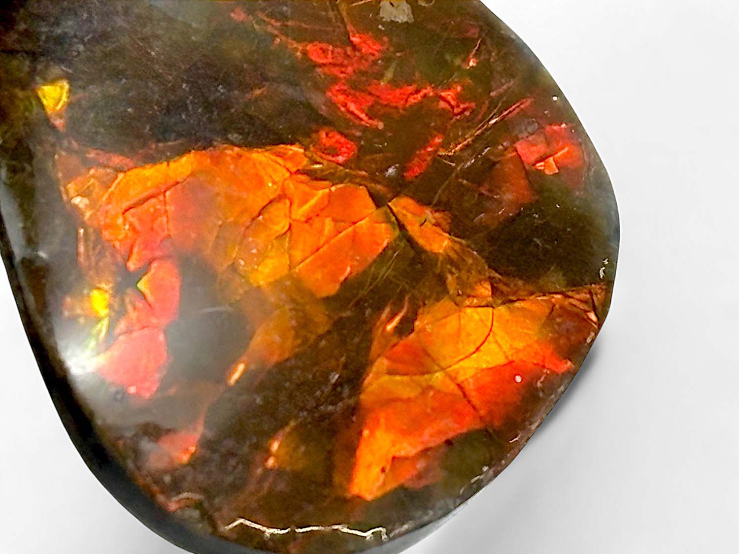 アンモライト ペンダントトップ