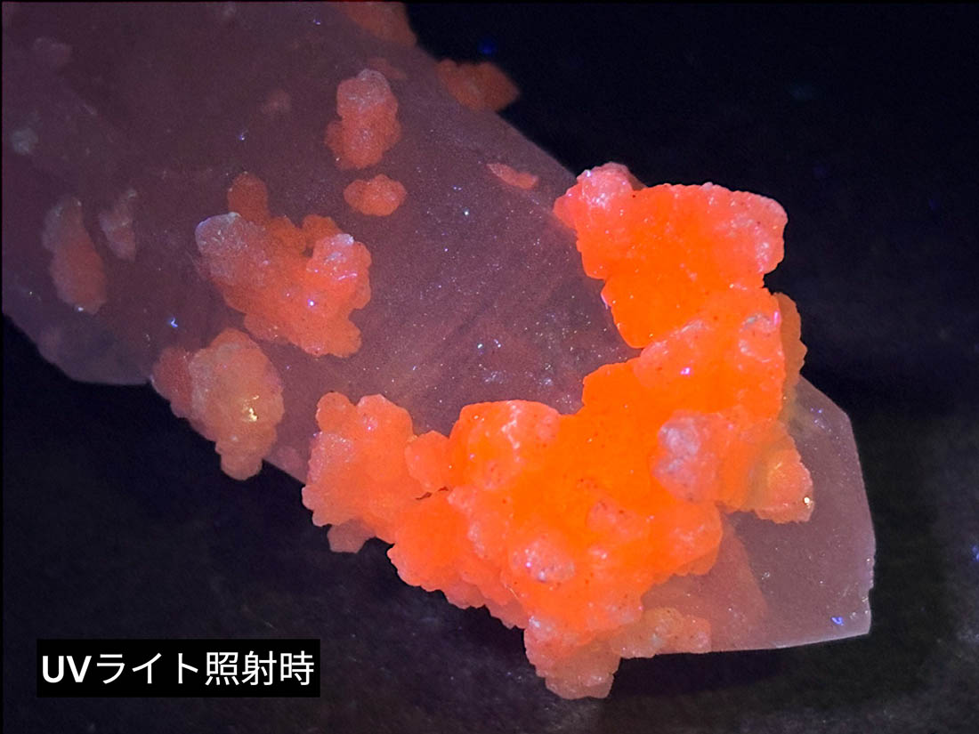 黄色牙方解石 珍しい黄色の方解石の大型標本。通称、ハニーカルサイト
