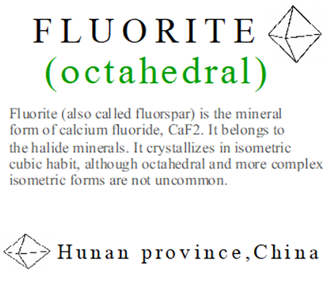 湖南省産 フローライト 八面体 / Fluorite ( 蛍石 )