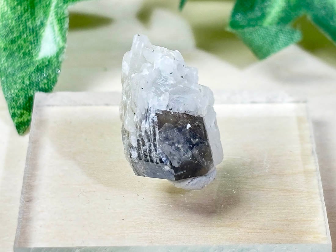 【鉱物商店】水晶、内モンゴル産 鉱物商店】水晶、内モンゴル産 【公式通販】