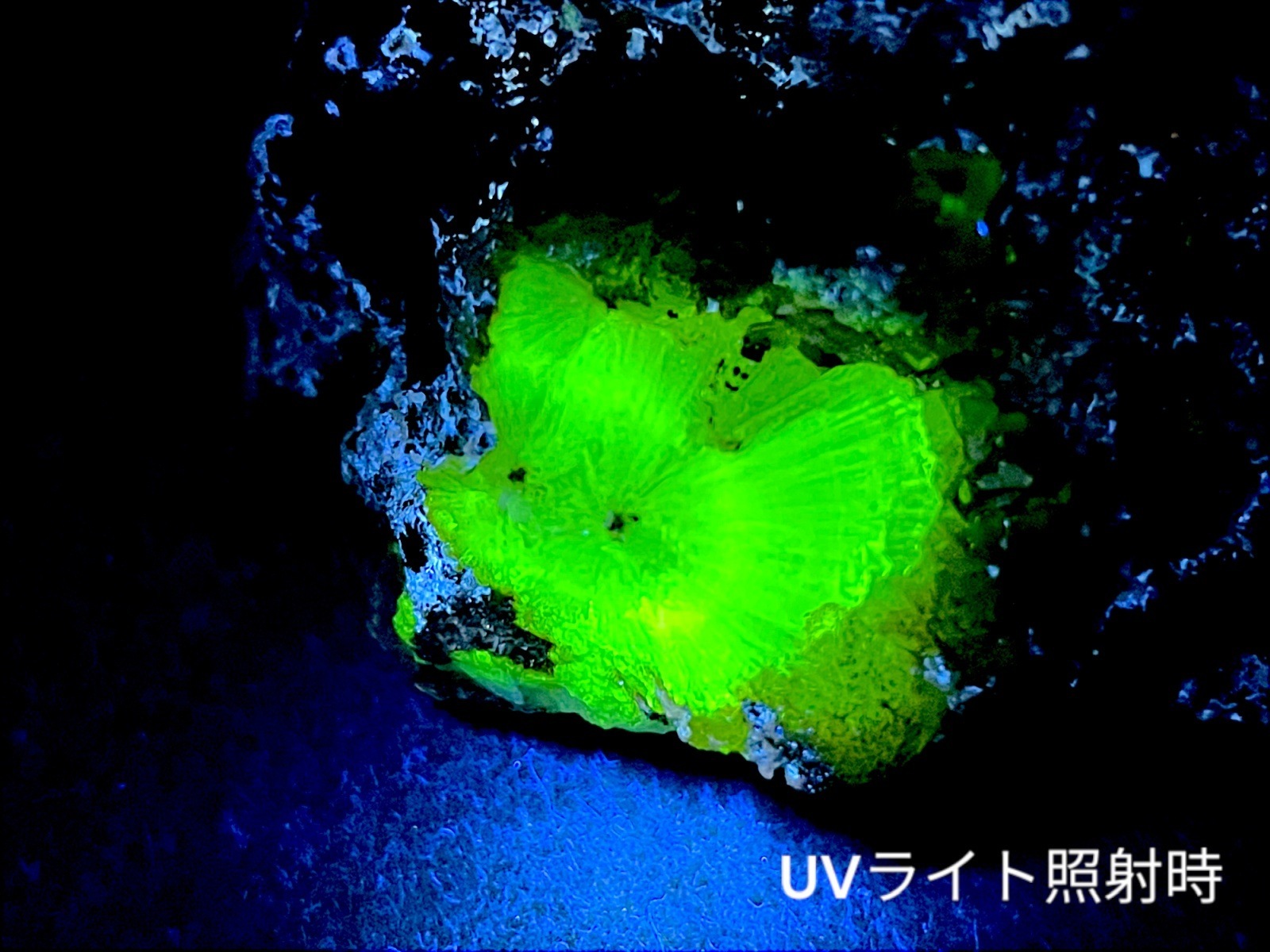 蛍光) メキシコ産 アダマイト ( アダム鉱 ) / Adamite