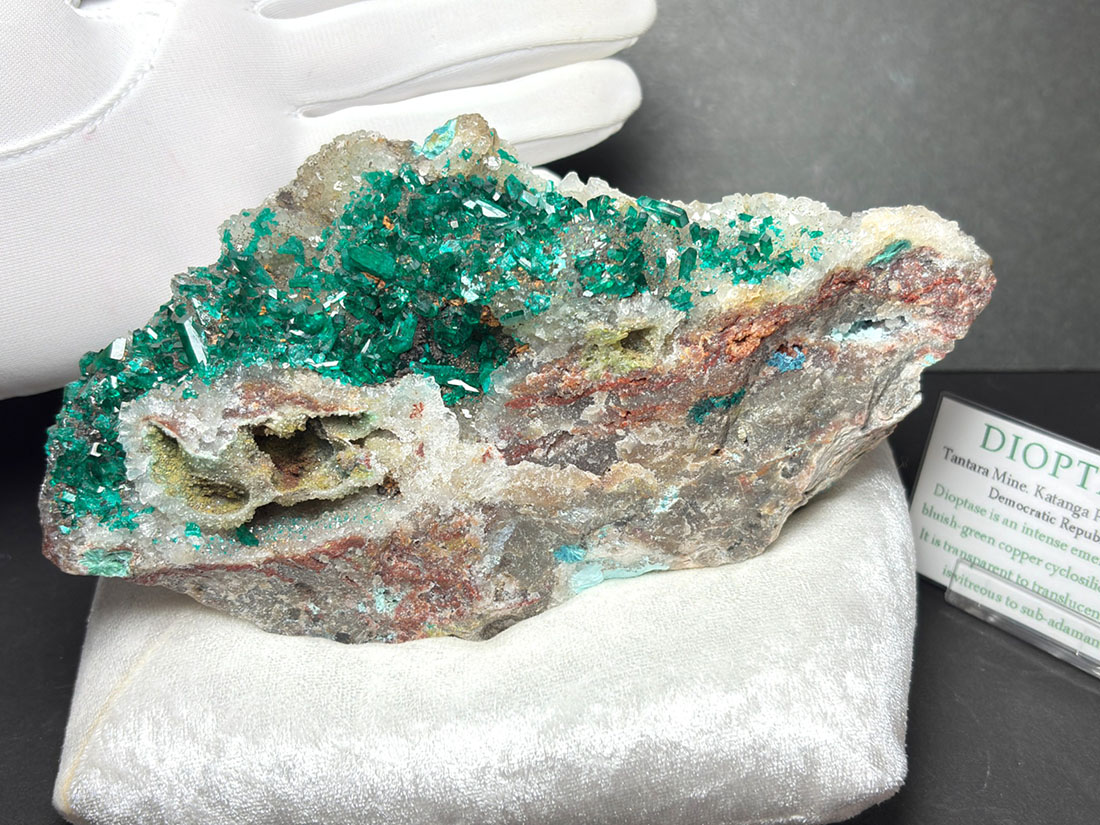 コンゴ民主共和国産 ダイオプテーズ (翠銅鉱) / Dioptase