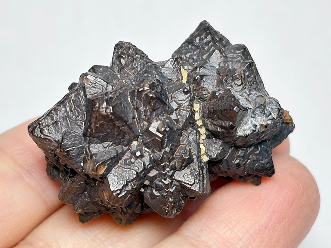 【エジプトの星】天然ライモナイト（褐鉄鉱）アフターマーカサイト【ゼットストーン】 エジプトの星】天然ライモナイト（褐鉄鉱）アフターマーカサイト