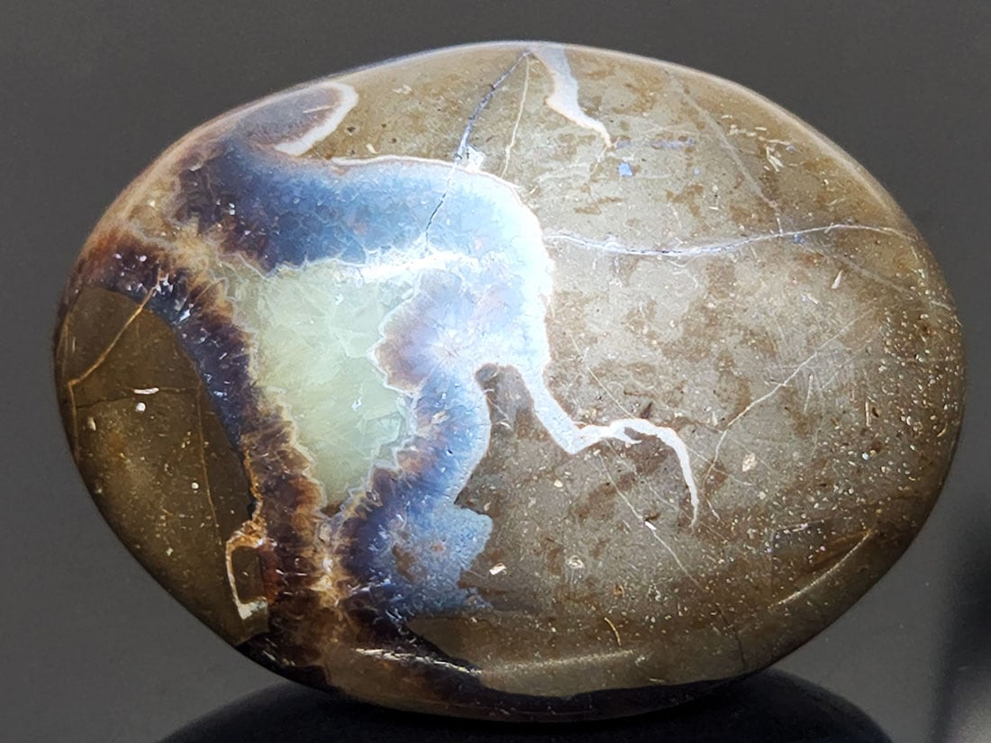 マダガスカル産　セプタリアン マダガスカル産セプタリアン(亀甲石)/Septarian