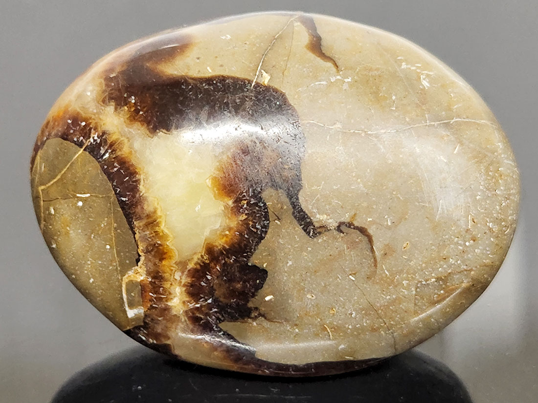 マダガスカル産　セプタリアン マダガスカル産セプタリアン(亀甲石)/Septarian