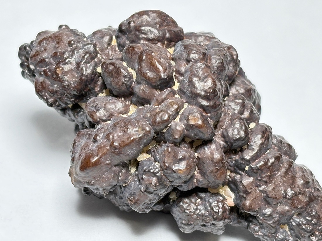 エジプトの星 ゼットストーン (プロフェシーストーン) / Prophecy Stone